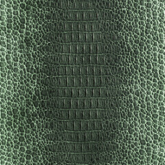 Genuine caiman leather. Green crocodile skin texture for background. 3D-rendering