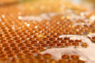 Uncapped filled honeycomb as background, closeup view