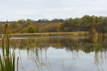 trees with yellow leaves around the lake