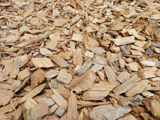 Perspective view of dry wood shavings. Full frame of wood chips. Texture of bark, irregular pieces...