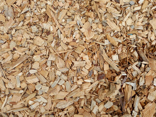 Dry wood shavings background. Full frame of wood chips. Texture of bark, irregular pieces of wood for lighting of fireplaces and barbecues.