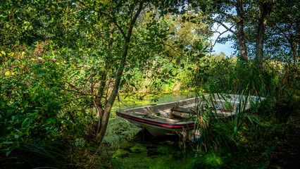 Squared bowed fibreglass boat in reeds in an idyllic location in an overgrown river in the shade of overhanging trees in late summer