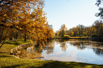 Autumn lanscape with oak grove in september