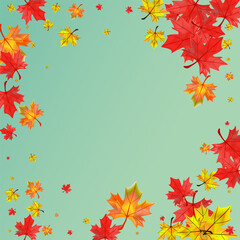 Colorful Plant Background Green Vector. Leaves Pattern Frame. Orange Shape Foliage. Celebrate Floral Card.