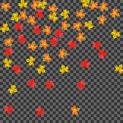 Orange Plant Background Transparent Vector. Floral Decoration Design. Brown Pattern Foliage. November Leaf Template.