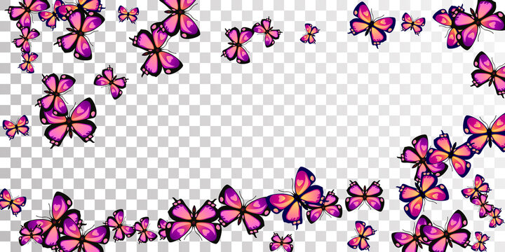 Tropical purple butterflies flying vector background. Summer pretty moths. Fancy butterflies flying girly illustration. Delicate wings insects graphic design. Nature creatures.