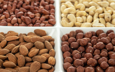 Four kinds of nuts in four compartments of combination plate: cashews, peanuts, hazelnuts, and almonds. Selective focus.