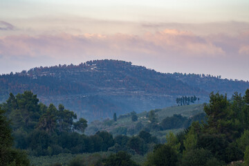 Obraz premium A Hazy Dawn in the Judea Mountains, Israel