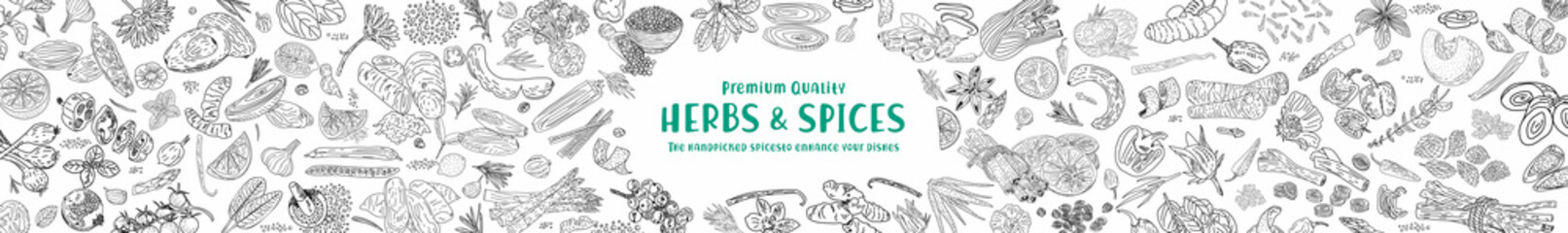 Herbs Spices vector hand drawn collection. Sketch kitchen herbs isolated. - obrazy, fototapety, plakaty