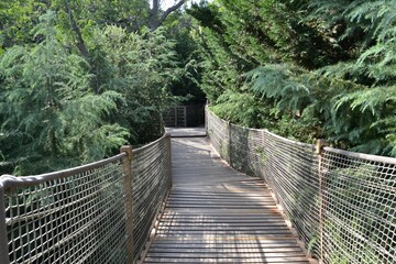 Hanging bridge between green trees during summer season in park. Yildiz Park,Istanbul.