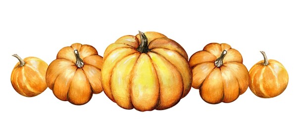 Mature autumn orange pumpkins of different sizes, painted in watercolor, on a white background