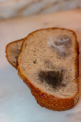 Close-up view of moldy bread. Moldy bread isolated on a white background. Food waste. Selective focus.