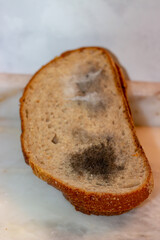 Close-up view of moldy bread. Moldy bread isolated on a white background. Food waste. Selective focus.