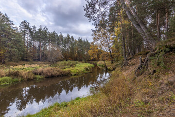 Fototapeta na wymiar Autumn landscape with a small forest river. Cloudy weather in the forest Idyllic autumn landscape. Clean nature, ecology, seasons, environmental protection. Atmospheric and peaceful landscape