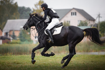 portrait of rider man and black stallion horse galloping during eventing cross country competition...