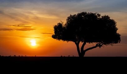 Sunrise in Africa 