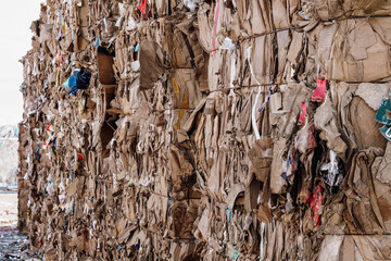 Photo of a large amount of waste paper
