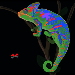 chameleon color reptile lizard vector illustration