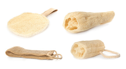 Set with natural shower loofah sponges on white background