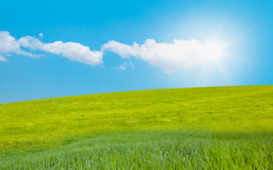 Beautiful landscape with green grass field