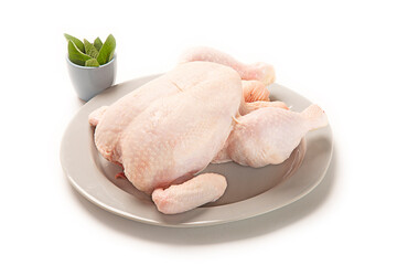 pollo entero crudo fresco sin cocinar en plato de vajilla, aislada fondo blanco