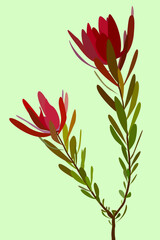 The image of a plant on a light background. Branch with red and green leaves. Vector flat illustration. Design for cards, posters, backgrounds, templates, textiles, menus, banners.