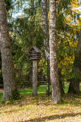Bird house in a forest