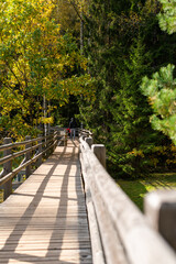People walking on a nature trail