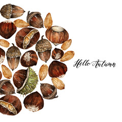 Watercolor illustration, composition with different nuts, hazelnuts, chestnuts, acorn, almonds, Postcard for you. Handmade. Background white.