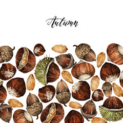 Watercolor illustration, composition with different nuts, hazelnuts, chestnuts, acorn, almonds. Handmade, Postcard for you. Background white.