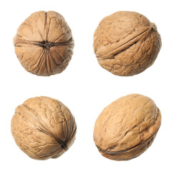 Set with tasty walnuts on white background
