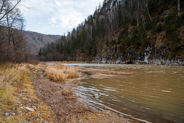 View of the river by the rocks, on which green pines and spruces grow densely. Autumn landscape in...