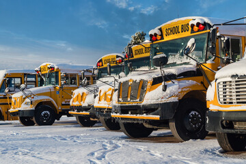 School buses after a fresh snowfall.