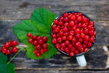 a lot of red currant berries on a dark background. High quality photo