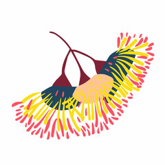 Modern isolated stylized design with abstract colorful eucalyptus flowers