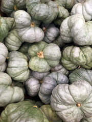 Fototapeta na wymiar Full frame close-up view of fresh pale green gray pumpkins displayed at a grocery market stand