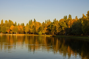 Beautiful trees with bright autumn foliage on the shore of a pond with a reflection on a clear sunny October day