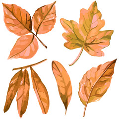 Fototapeta premium Vector watercolor style set of illustrated fall leaves 