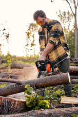 Lumberjack logger worker in protective gear cutting firewood timber tree in forest with chainsaw....