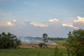 Burning agricultural fields in Thailand causing air pollution and smog - obrazy, fototapety, plakaty