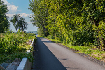 Landscape where an asphalt cycle path leads. There are trees around.