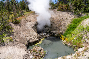 Dragon Mouth Spring geothermal feature in Yellowstone National Park