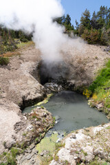 Fototapeta na wymiar Dragon Mouth Spring geothermal feature in Yellowstone National Park