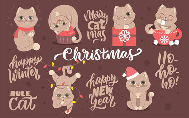 he set of cats for Merry Christmas designs etc