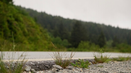 lake in the mountains