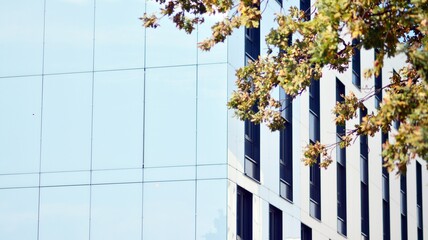 Inspiring view of the modern city. The wall of the building of glass and metal against trees. Corporate construction and ecology, view of  modern  building with blue sky and green tree. Sunlight