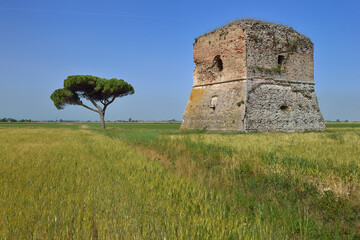 La Torraccia (Ravenna - Italy)