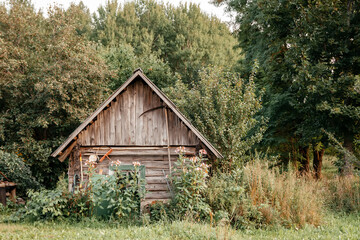 Antique gardening tools on the wooden wall of the old shed
