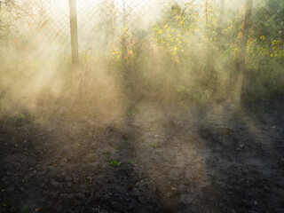 sun rays in smoke from burning plants over garden