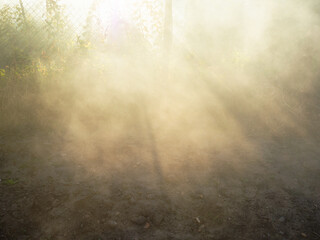 sun rays in smoke from burning leaves over garden